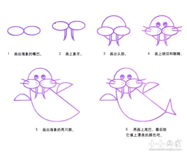 可爱海象简笔画画法图片步骤- www.chuantongba.top