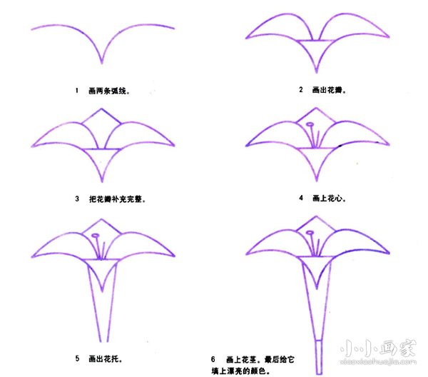 百合花简笔画画法图片步骤- www.chuantongba.top