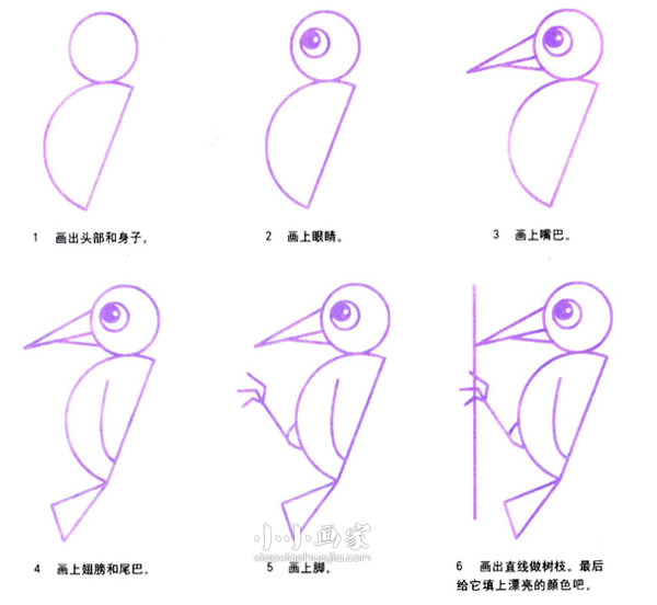 找虫吃的啄木鸟简笔画画法图片步骤- www.chuantongba.top
