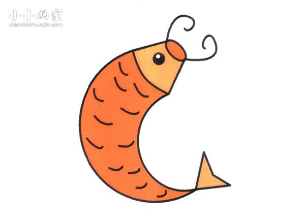 跃起的鲤鱼简笔画画法图片步骤- www.chuantongba.top