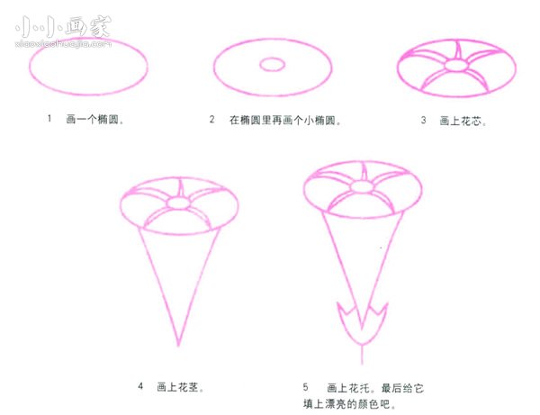 牵牛花喇叭花简笔画画法图片步骤- www.chuantongba.top
