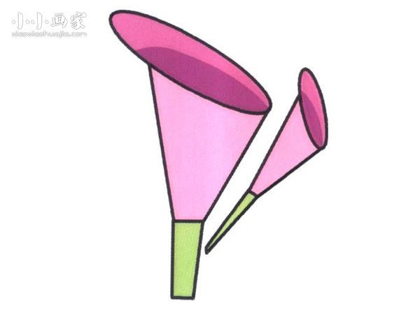 马蹄莲花简笔画画法图片步骤- www.chuantongba.top