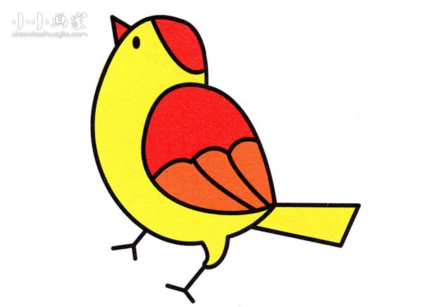 可爱黄雀简笔画画法图片步骤- www.chuantongba.top