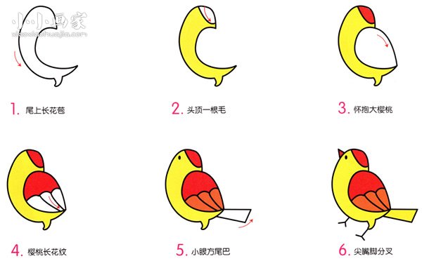 可爱黄雀简笔画画法图片步骤- www.chuantongba.top