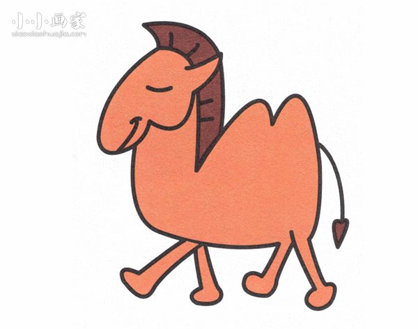 彩色卡通骆驼简笔画画法图片步骤- www.chuantongba.top