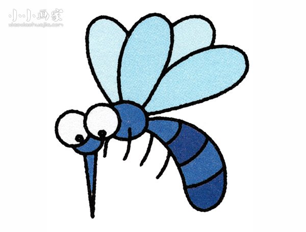 可恶的蚊子简笔画画法图片步骤- www.chuantongba.top