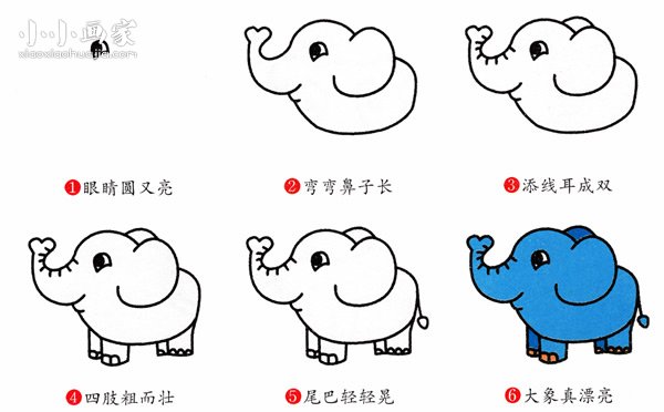 肥嘟嘟彩色小象简笔画画法图片步骤- www.chuantongba.top