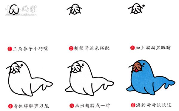 抬着头的海豹简笔画画法图片步骤- www.chuantongba.top