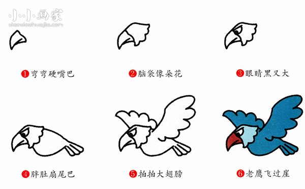 飞翔的老鹰简笔画画法图片步骤- www.chuantongba.top