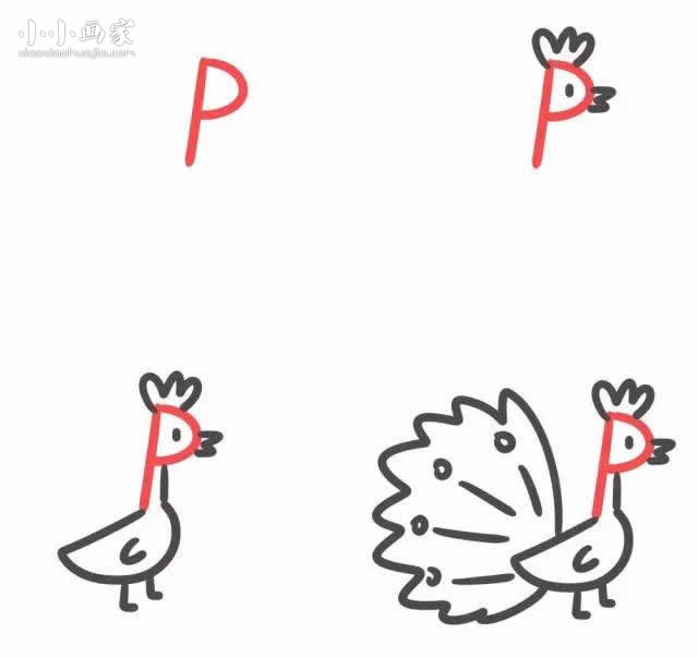 字母P简笔画孔雀开屏的画法图片步骤- www.chuantongba.top