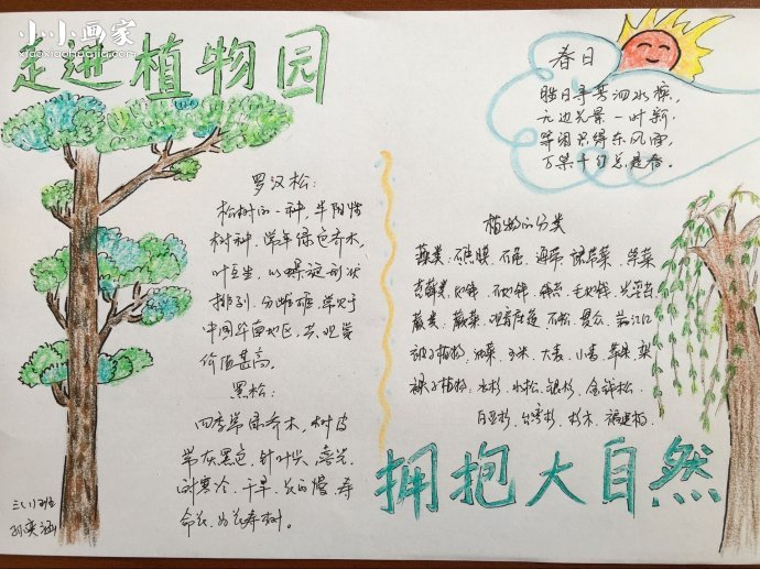 走进植物园，拥抱大自然手抄报图片- www.chuantongba.top
