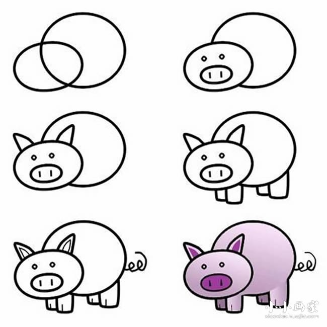 彩色大屁股小猪简笔画画法图片步骤- www.chuantongba.top