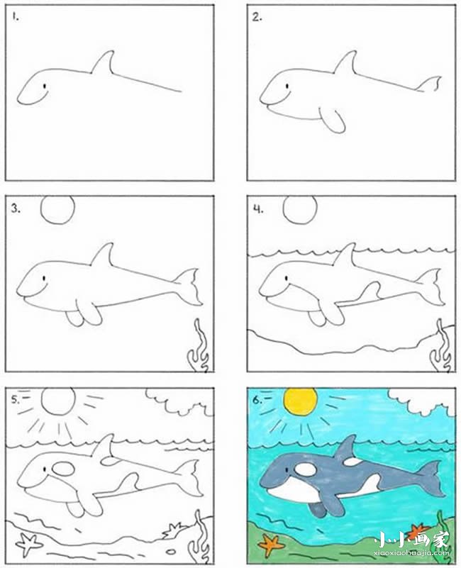海底世界的大鲸鱼简笔画画法图片步骤- www.chuantongba.top