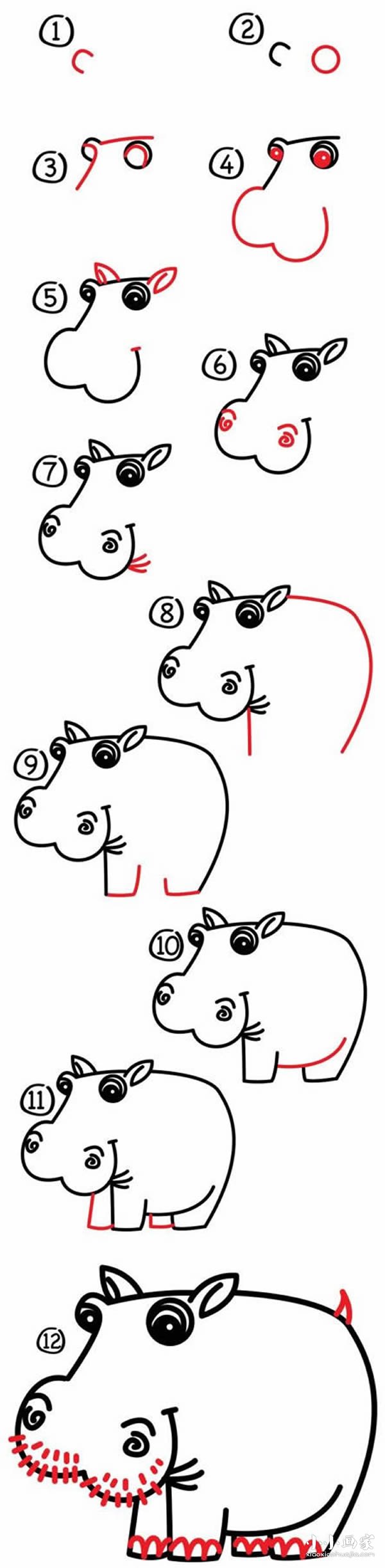 笨笨河马简笔画画法图片步骤- www.chuantongba.top