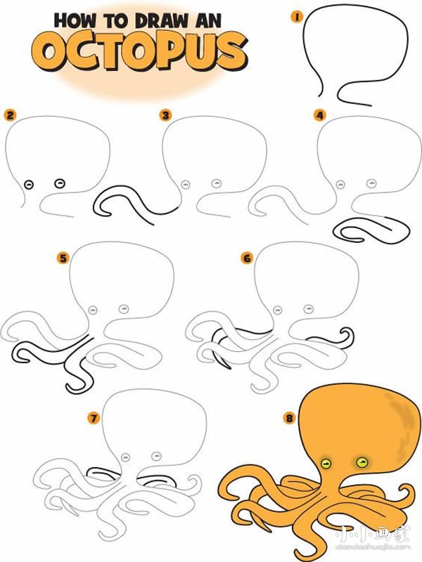 彩色章鱼简笔画画法图片步骤- www.chuantongba.top