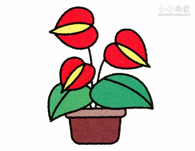 彩色马蹄莲简笔画画法图片步骤- www.chuantongba.top