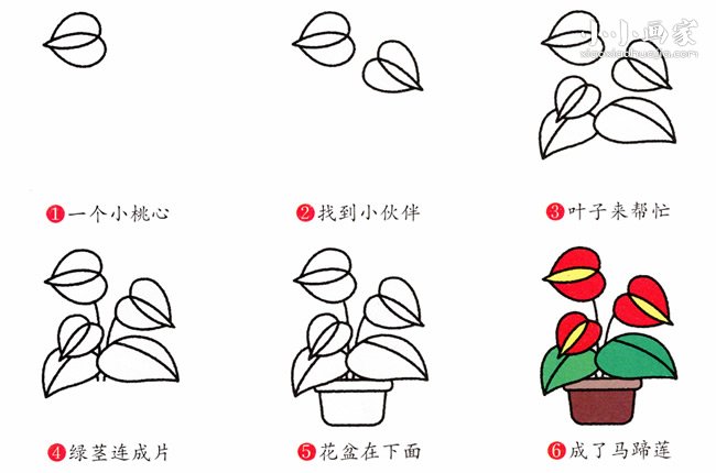 彩色马蹄莲简笔画画法图片步骤- www.chuantongba.top