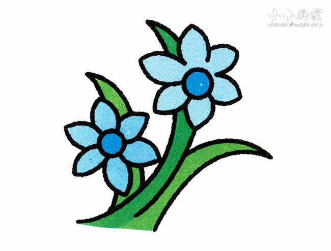 彩色兰花简笔画画法图片步骤- www.chuantongba.top