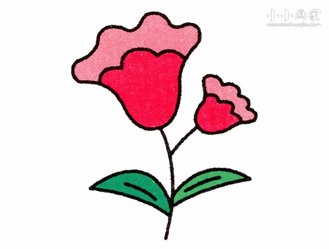 彩色鸡冠花简笔画画法图片步骤- www.chuantongba.top