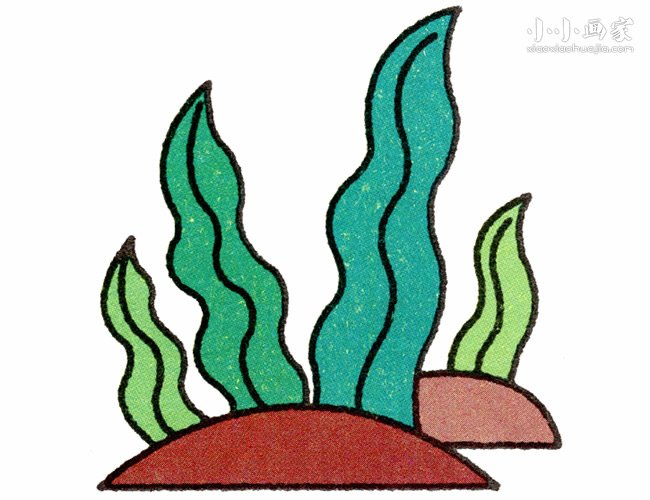 彩色水草简笔画画法图片步骤- www.chuantongba.top