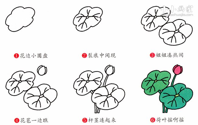 美丽荷花简笔画画法图片步骤- www.chuantongba.top