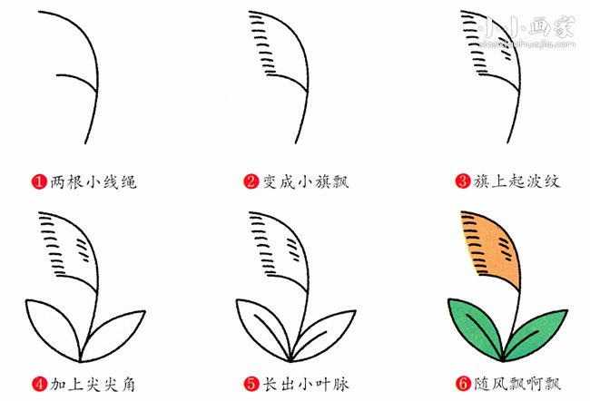 彩色芦苇简笔画画法图片步骤- www.chuantongba.top