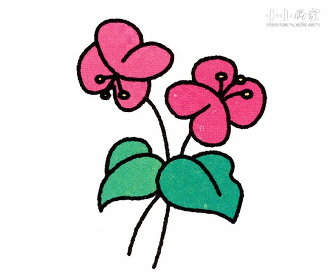 蝴蝶兰简笔画画法图片步骤- www.chuantongba.top