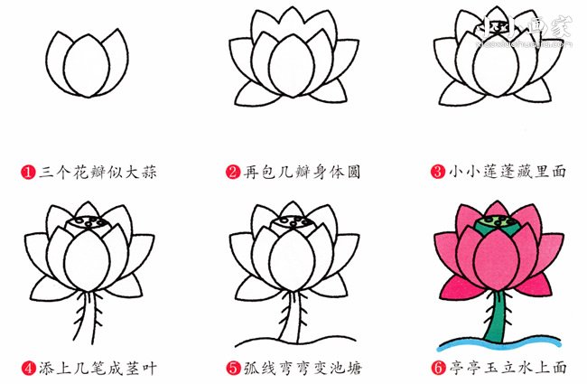 彩色荷花简笔画画法图片步骤- www.chuantongba.top