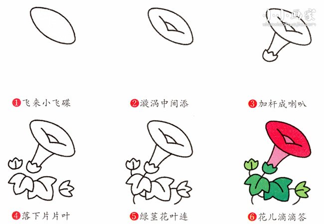 彩色牵牛花简笔画画法图片步骤- www.chuantongba.top
