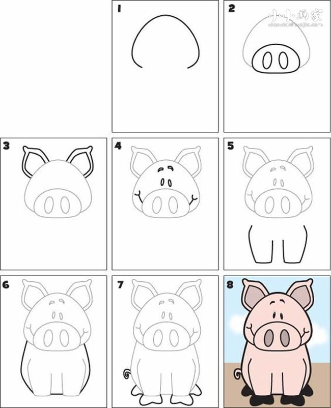 可爱小猪简笔画画法图片步骤- www.chuantongba.top