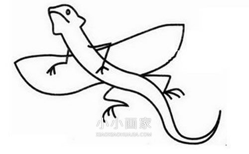 简单蜥蜴简笔画画法图片步骤- www.chuantongba.top