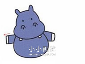 彩色卡通河马简笔画画法图片步骤- www.chuantongba.top