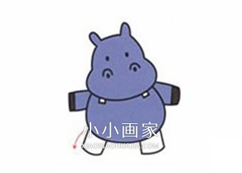 彩色卡通河马简笔画画法图片步骤- www.chuantongba.top