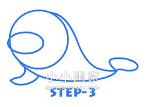 可爱卡通小海狮简笔画画法图片步骤- www.chuantongba.top