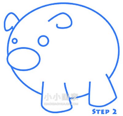可爱粉红猪简笔画画法图片步骤- www.chuantongba.top