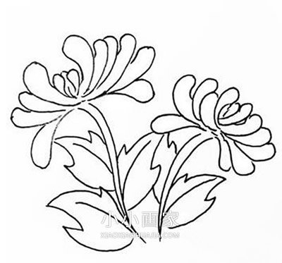 黑白菊花简笔画画法图片步骤- www.chuantongba.top