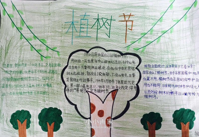 优秀的小学六年级植树节手抄报图片- www.chuantongba.top