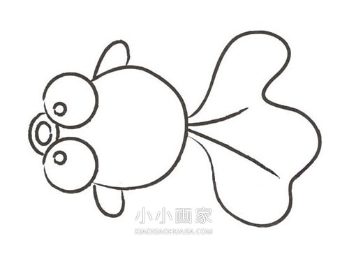 可爱小金鱼简笔画画法图片步骤- www.chuantongba.top