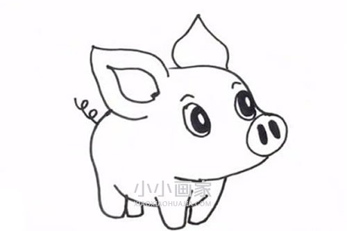 可爱卡通小猪简笔画画法图片步骤- www.chuantongba.top