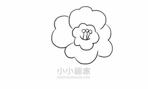 黑白山茶花简笔画画法图片步骤- www.chuantongba.top