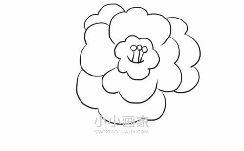黑白山茶花简笔画画法图片步骤- www.chuantongba.top