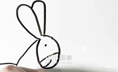 卡通小毛驴简笔画画法图片步骤- www.chuantongba.top