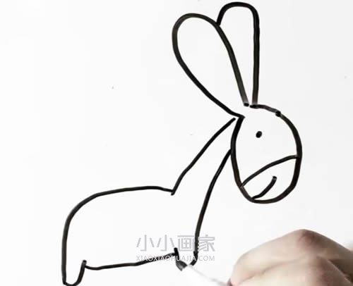 卡通小毛驴简笔画画法图片步骤- www.chuantongba.top