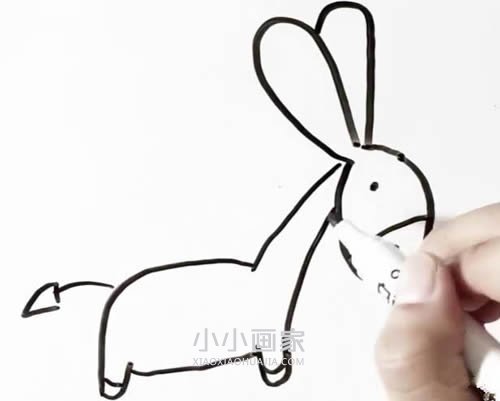 卡通小毛驴简笔画画法图片步骤- www.chuantongba.top