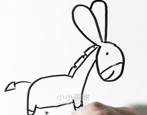 卡通小毛驴简笔画画法图片步骤- www.chuantongba.top