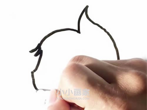 手拿榛子的松鼠简笔画画法图片步骤- www.chuantongba.top