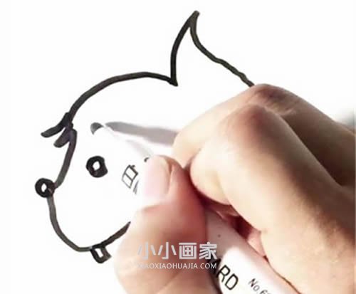 手拿榛子的松鼠简笔画画法图片步骤- www.chuantongba.top