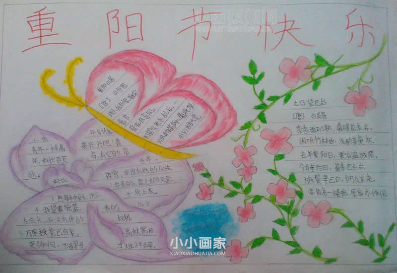 简单的小学生重阳节手抄报图片- www.chuantongba.top