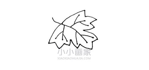 一串葡萄简笔画画法图片步骤- www.chuantongba.top