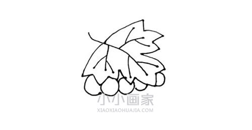 一串葡萄简笔画画法图片步骤- www.chuantongba.top